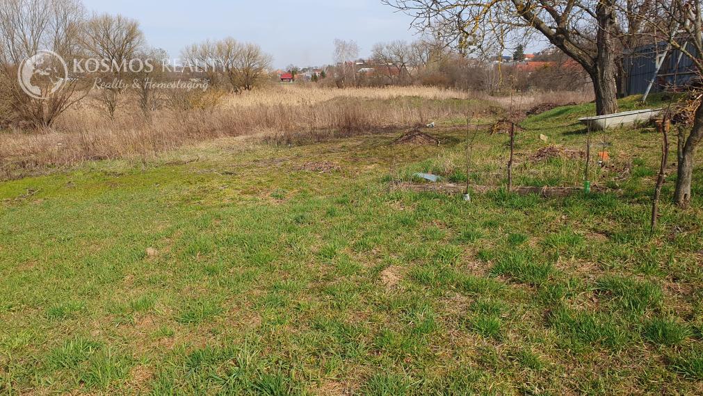 Veľký investičný pozemok 6500m2 v intraviláne obce 64eur za m2