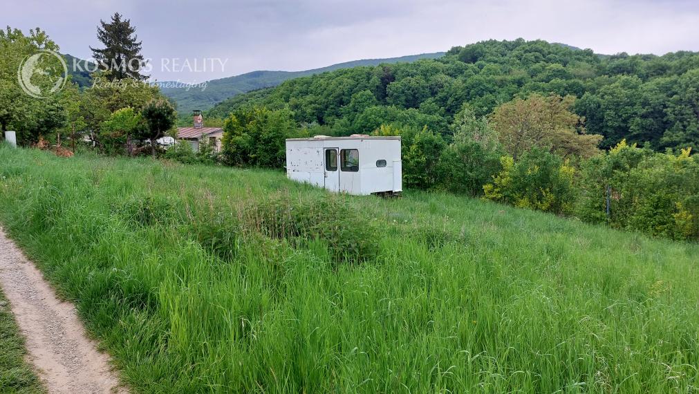 Záhrada v obci Sokoľ