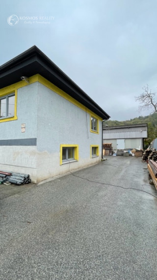 DOM na podnikateľské účely + sklad. hala - Opatovská cesta