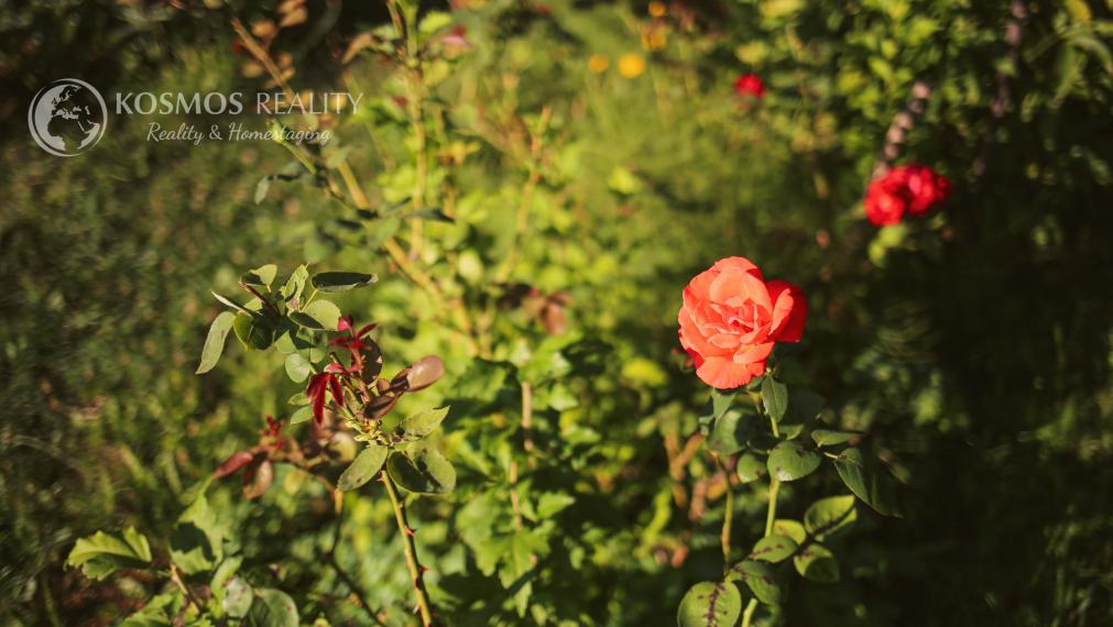Na predaj slnečná záhrada v lokalite GEDER Košická Nová Ves