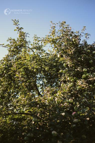 Na predaj slnečná záhrada v lokalite GEDER Košická Nová Ves