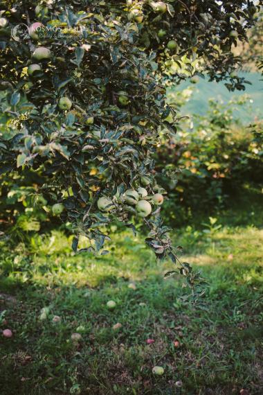 Na predaj slnečná záhrada v lokalite GEDER Košická Nová Ves