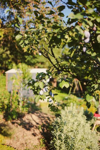 Na predaj slnečná záhrada v lokalite GEDER Košická Nová Ves
