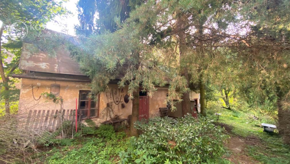 PREDAJ ZNÍŽENÁ CENA Rodinný dom, chalupa Smolník