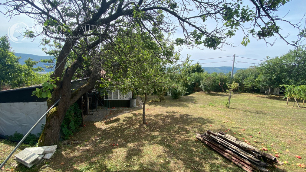 FOR SALE Beautiful vineyard with a cottage, Hrušov, Slovakia