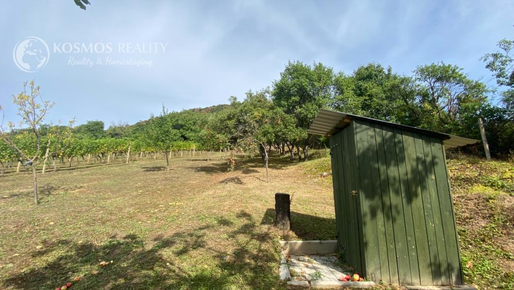 FOR SALE Cottage with a beautiful vineyard, Hrušov, Slovakia