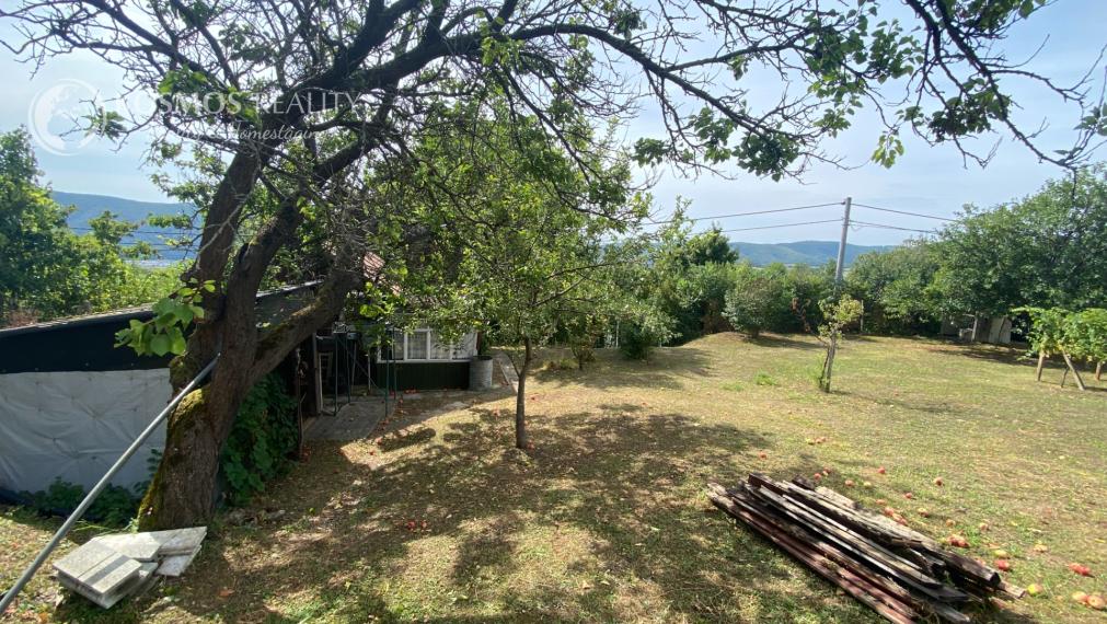 FOR SALE Cottage with a beautiful vineyard, Hrušov, Slovakia
