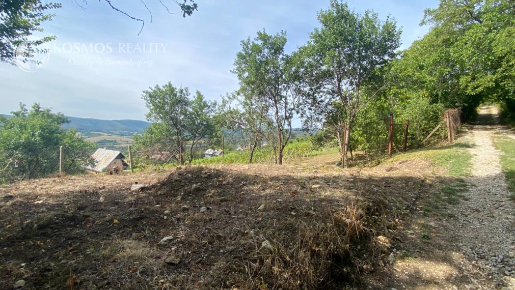 FOR SALE Cottage with a beautiful vineyard, Hrušov, Slovakia