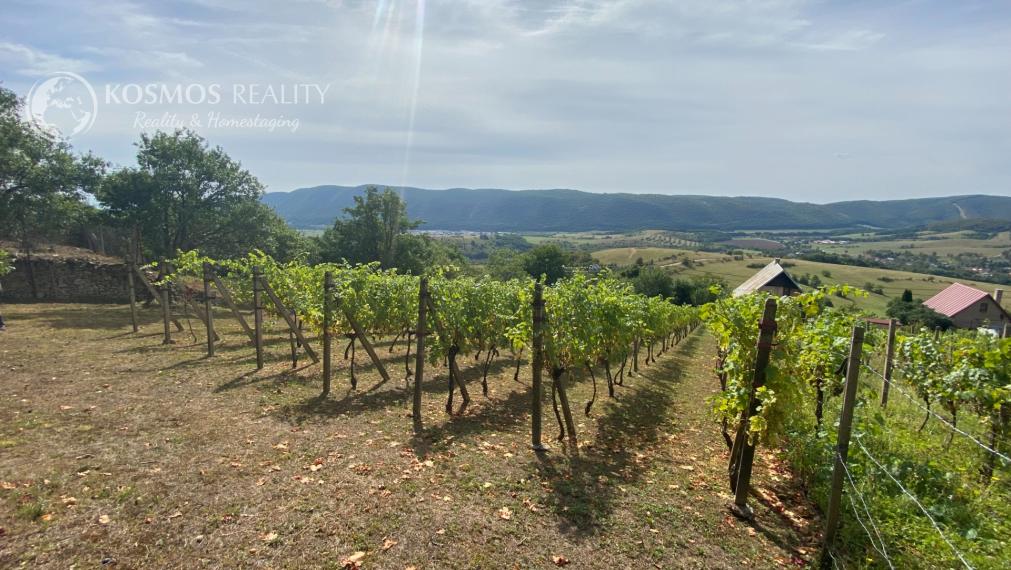 FOR SALE Cottage with a beautiful vineyard, Hrušov, Slovakia