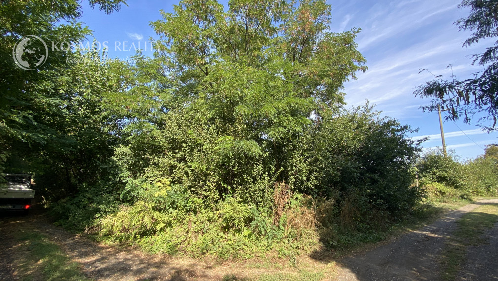 FOR SALE Building plot Korlát, Hungary