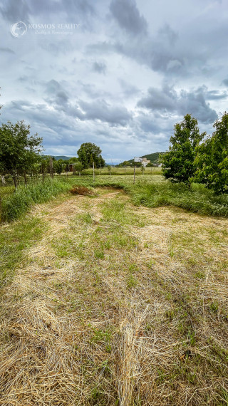 PREDÁM RD v obci Dvorníky Včeláre s veľkým pozemkom