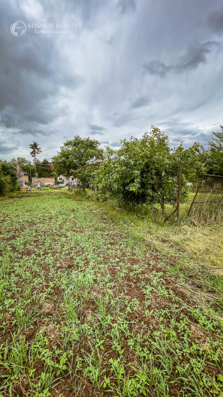 PREDÁM RD v obci Dvorníky Včeláre s veľkým pozemkom