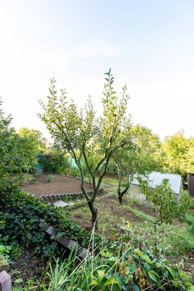 REZERVOVANÉ - Na predaj záhrada s murovanou chatou – Košice-Ťahanovce, záhradkárska oblasť Pod Vinicami