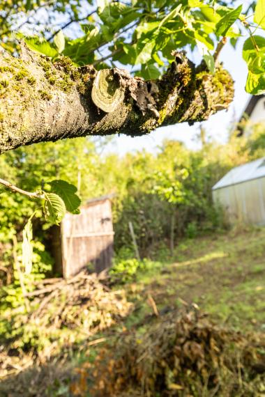 REZERVOVANÉ - Na predaj záhrada s murovanou chatou – Košice-Ťahanovce, záhradkárska oblasť Pod Vinicami