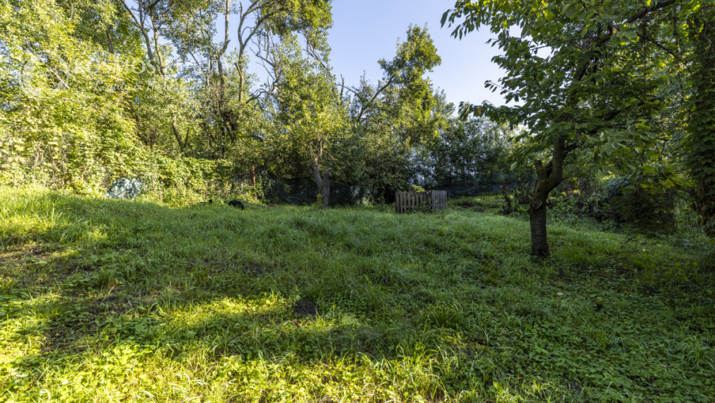 Rodinný dom s veľkým pozemkom a dušou, Nižná Hutka