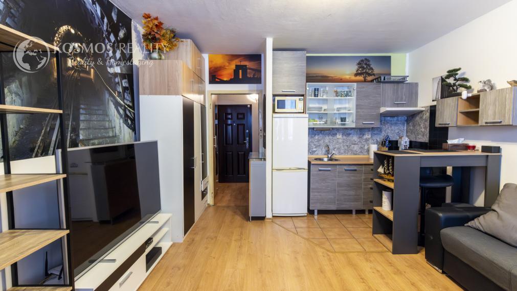 Predaj veľkej garsónky na KVP