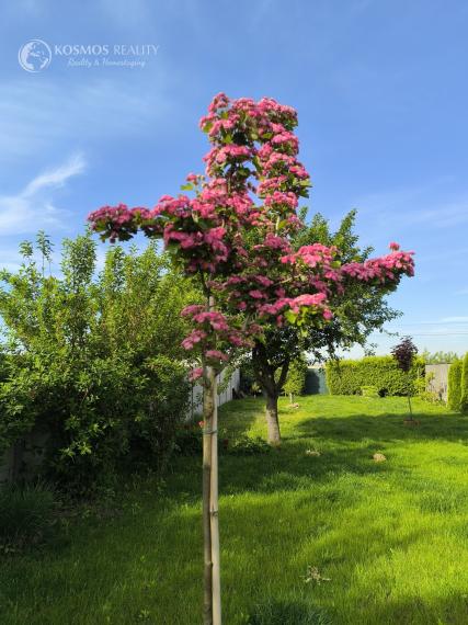 REZERVOVANE PREDAJ RD VALALIKY