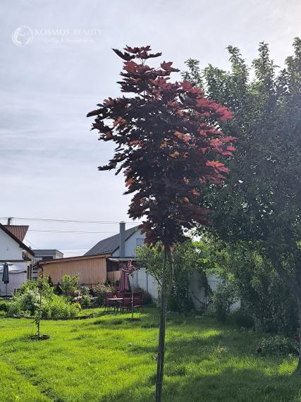 REZERVOVANE PREDAJ RD VALALIKY