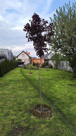 REZERVOVANE PREDAJ RD VALALIKY