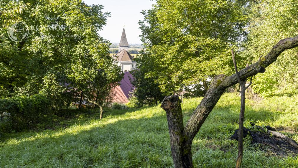 Rodinný dom s veľkým pozemkom v Nižnej Hutke//