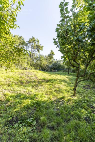 Rodinný dom s veľkým pozemkom v Nižnej Hutke//