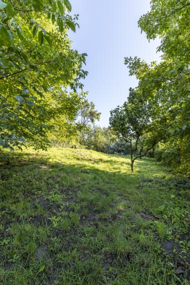 Rodinný dom s veľkým pozemkom v Nižnej Hutke//