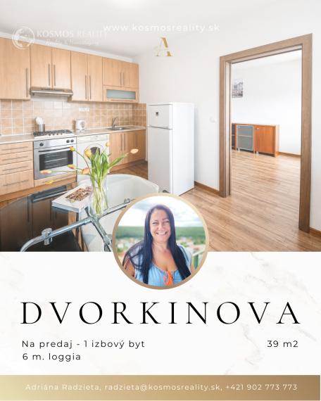 NA PREDAJ 1izbový byt na ul Dvorkinova 24 Košice - Furča