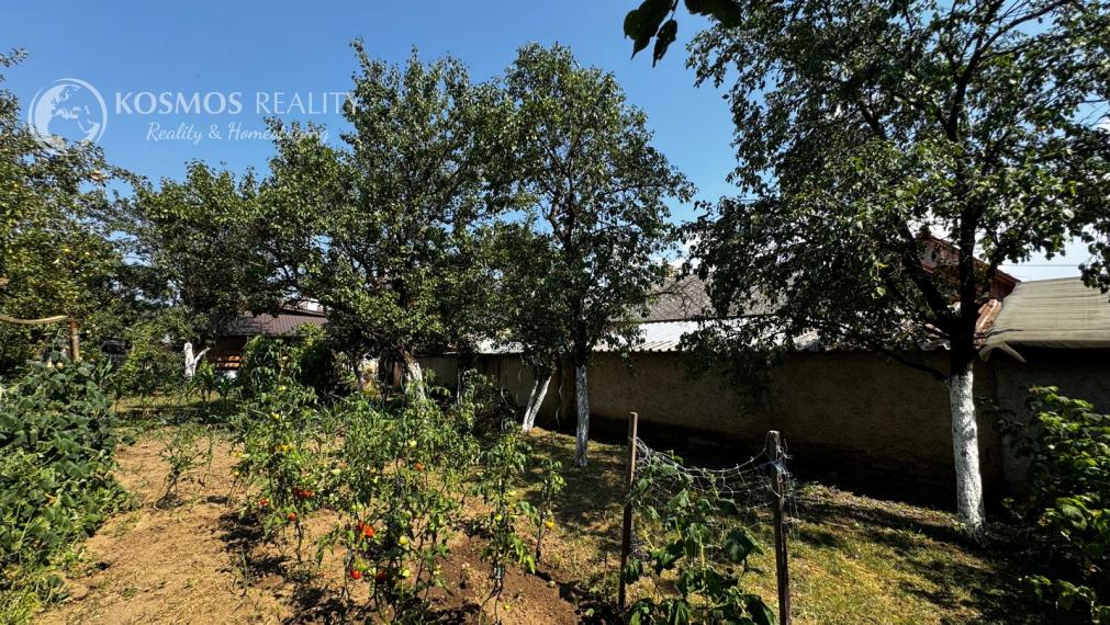 Rodinný dom s atmosférou chalupy, veľkým pozemkom a potokom – Drienovec