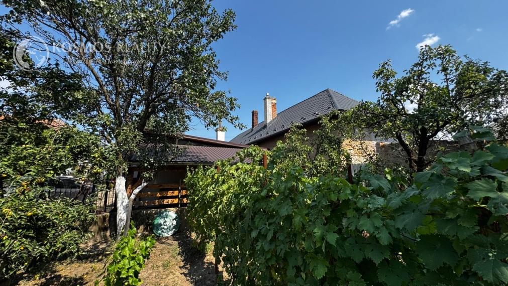 Rodinný dom s atmosférou chalupy, veľkým pozemkom a potokom – Drienovec