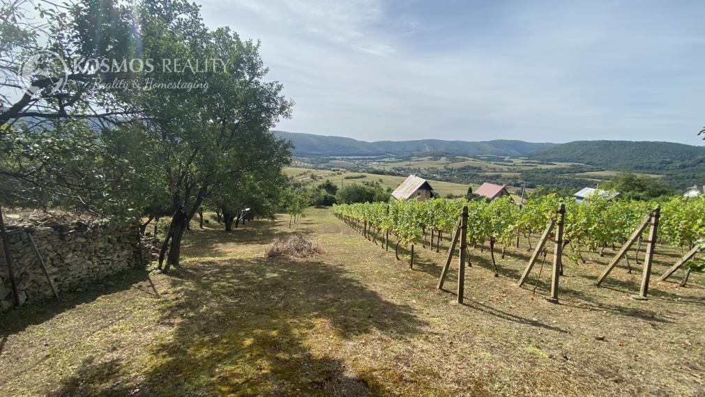PREDAJ Chatka s nádhernou vinicou, Hrušov