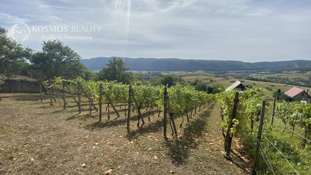 PREDAJ Chatka s nádhernou vinicou, Hrušov