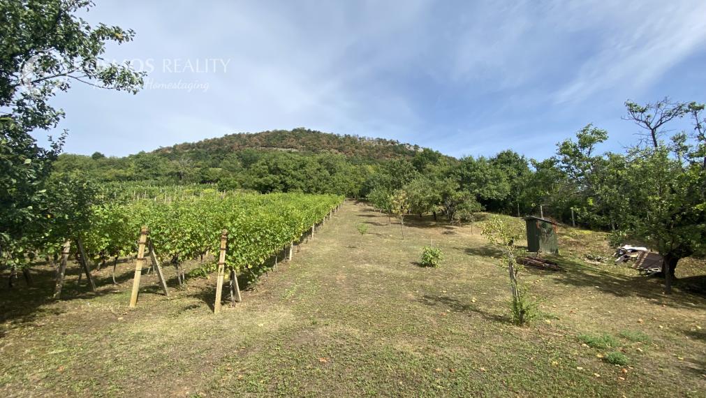 PREDAJ Chatka s nádhernou vinicou, Hrušov