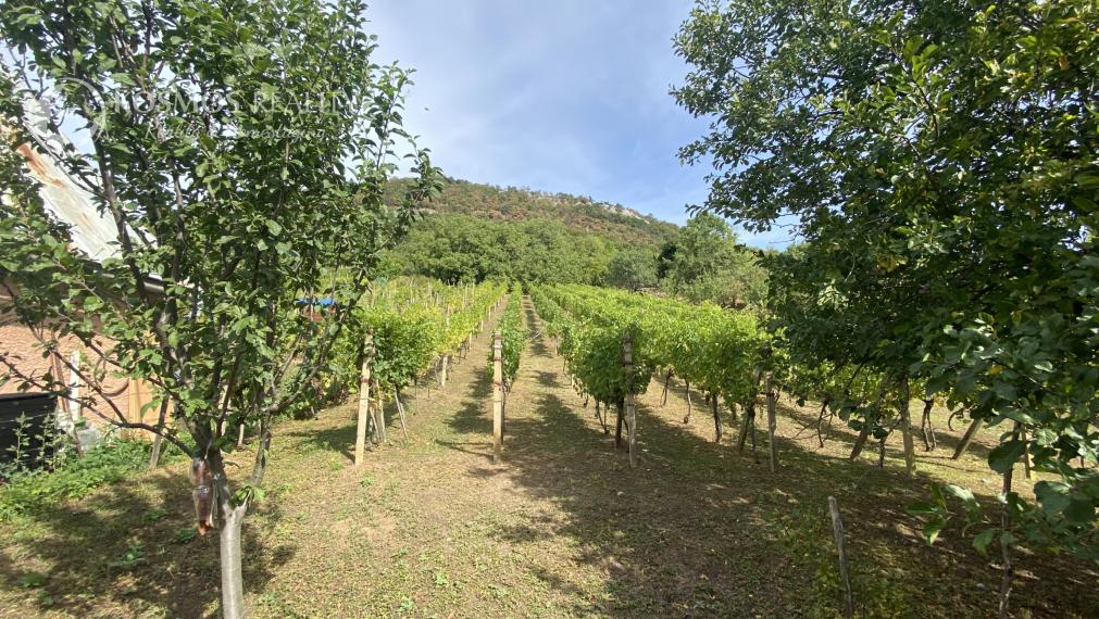 PREDAJ Chatka s nádhernou vinicou, Hrušov