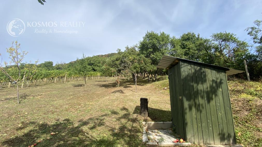 PREDAJ Chatka s nádhernou vinicou, Hrušov