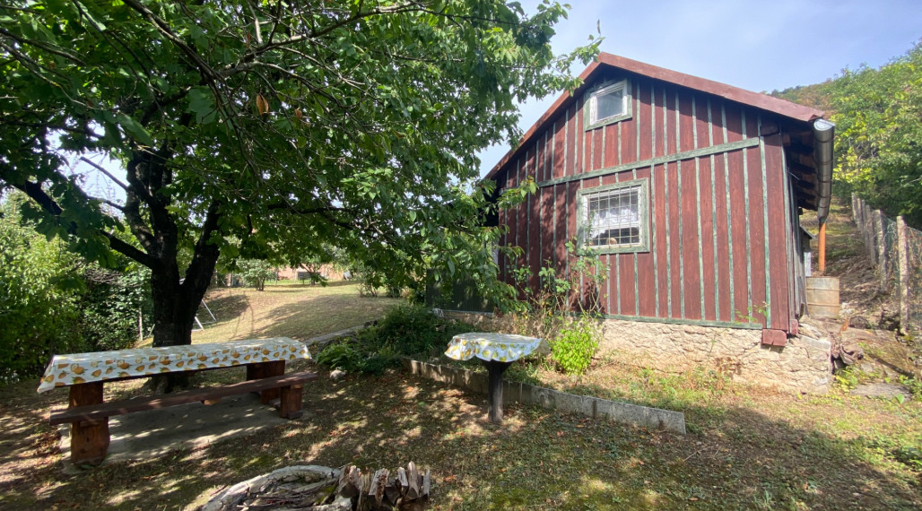 FOR SALE Cottage with a beautiful vineyard, Hrušov, Slovakia