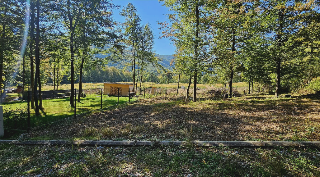 Rekreačný pozemok 600 m² pri lese – Kysak, časť Brezie