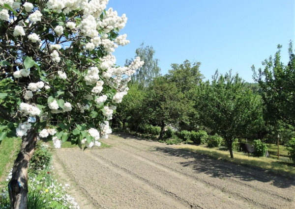 Na predaj záhrada, 405 m2, Kalvária, Košice - Sever