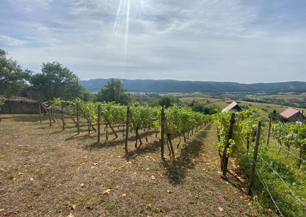 PREDAJ Nádherná vinica s chatkou, Hrušov