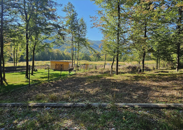 Rekreačný pozemok 600 m² pri lese – Kysak, časť Brezie