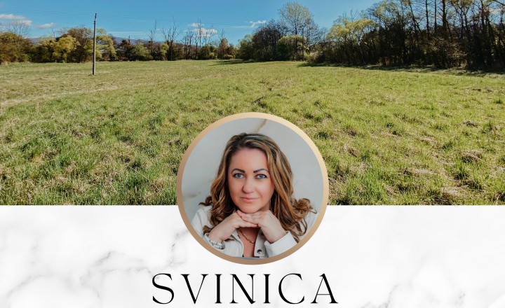 POZEMOK PRE REKREÁCIU - SVINICA