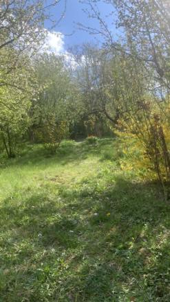 Záhrada s chatkou - Vyšný Olčvár - fotografia 6