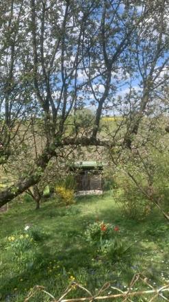 Záhrada s chatkou - Vyšný Olčvár - fotografia 11