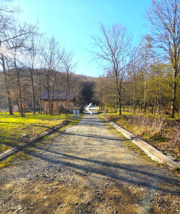 Rekreačný pozemok 600 m² pri lese – Kysak, časť Brezie - fotografia 7