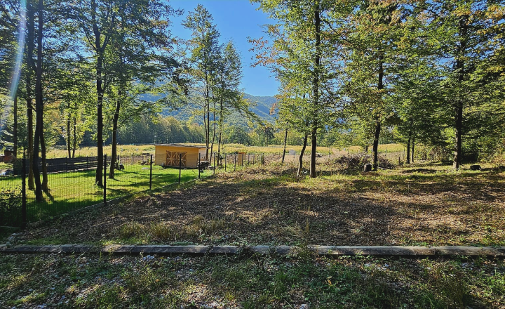 Rekreačný pozemok 600 m² pri lese – Kysak, časť Brezie