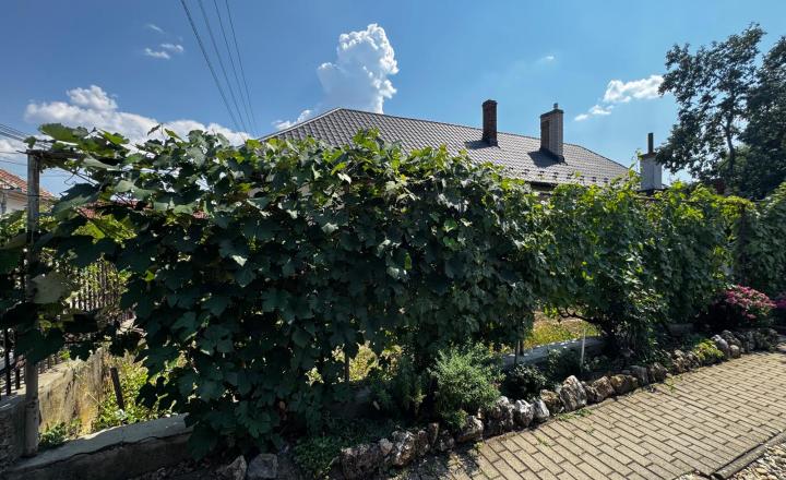 Rodinný dom s atmosférou chalupy, veľkým pozemkom a potokom – Drienovec - fotografia 6