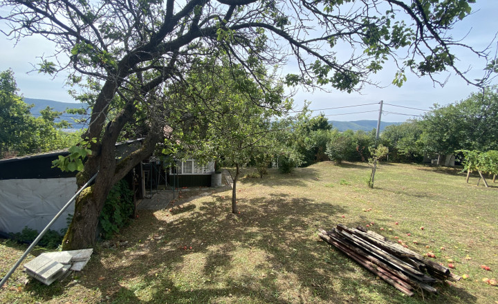 FOR SALE Beautiful vineyard with a cottage, Hrušov, Slovakia - fotografia 12