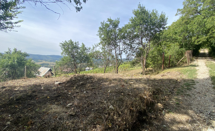 FOR SALE Cottage with a beautiful vineyard, Hrušov, Slovakia - fotografia 6