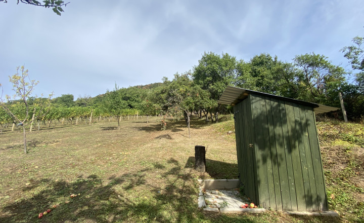 FOR SALE Cottage with a beautiful vineyard, Hrušov, Slovakia - fotografia 14