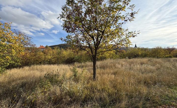 Building plot in the Hungarian village of Fony - fotografia 3