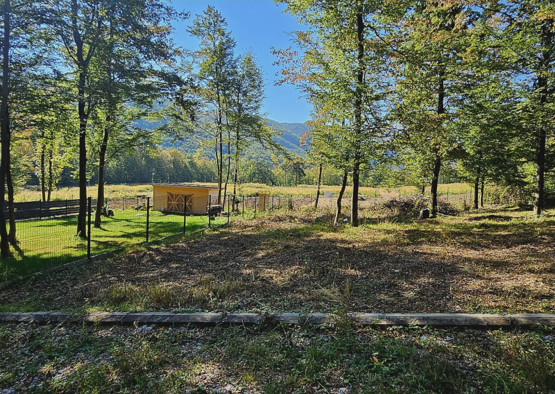 Rekreačný pozemok 600 m² pri lese – Kysak, časť Brezie